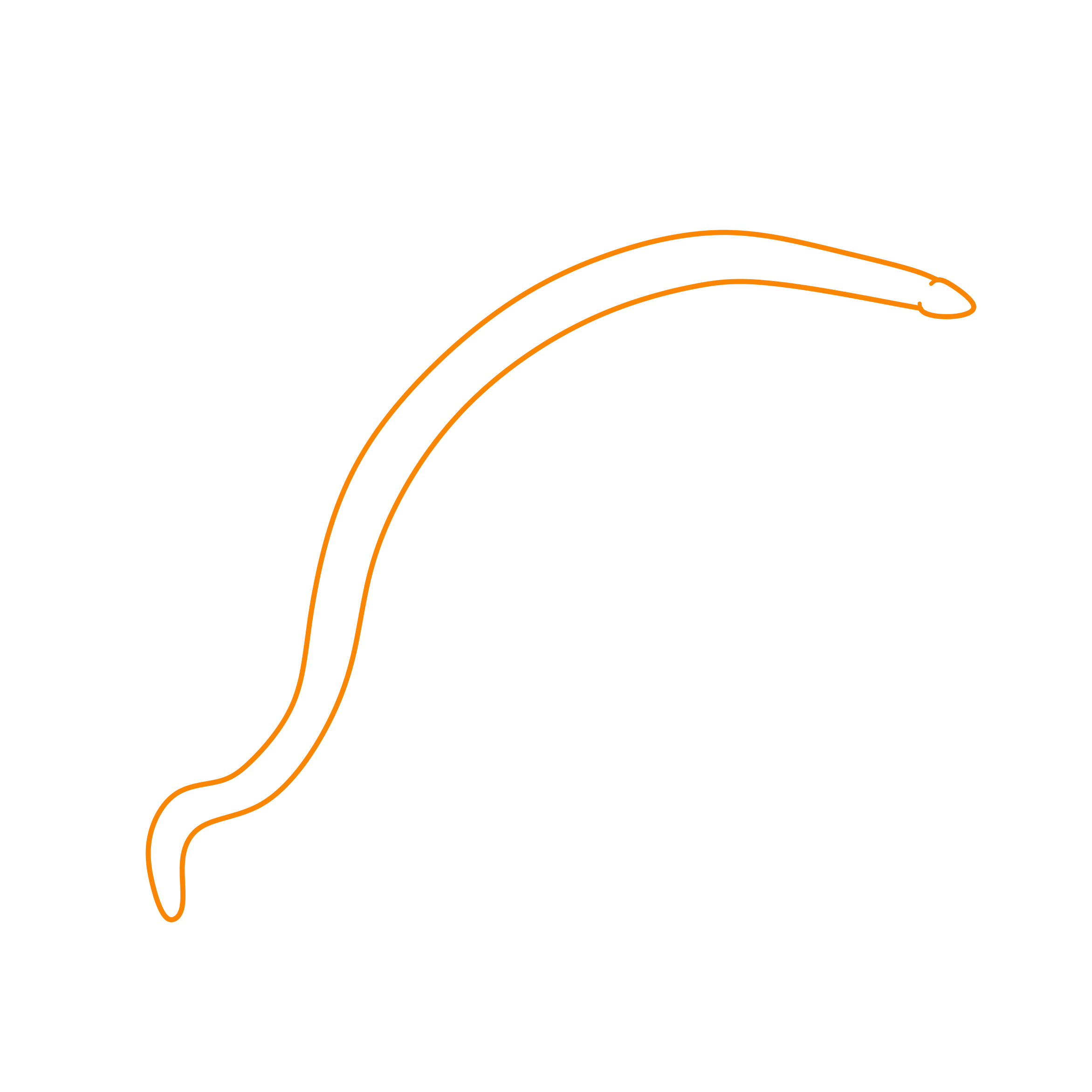 Animals Caecilians Rubber Eel Editable Svg Line Art Free Vectors